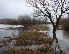 Зимний паводок на Полесье / Январь 2011. Уровень воды достиг уровня весеннего паводка 2010 года.