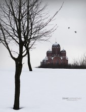на небе вороны, под небом... / Соборный Храм на Притыцкого. Минск