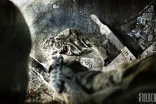 Нападение / ПРОЕКТ "S.T.A.L.K.E.R. в кадре"
Авторские права защищены