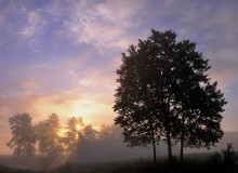 Обьемное утро / запомнившееся свом оттенком утро , с туманом который сам делил местность на планы