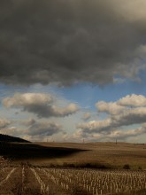 Виноградники ждут дождя / дайте совет по фото
