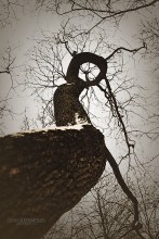 не "нестерова", но "петля" / без комментариев