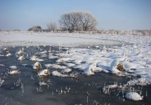 В зимней заплаве / Почти полностью затопленная заплава реки Стырь - южного притока Припяти.