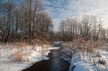 Редкий день / январь 2011