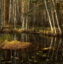 Поздняя осень на Черной Порзе / Третья работа из этой серии.