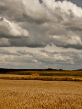 Перед грозой / .....
