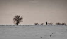 пустота / без комментариев