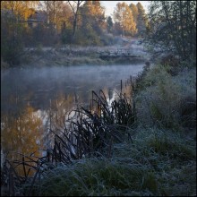 Первые заморозки 3 / без коментариев.