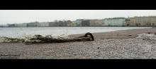 Концы Петербурга / в поиске нестандартных решений