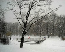 В зимнем парке / Петербург