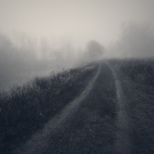 ghostcar / туманное утро на берегу реки