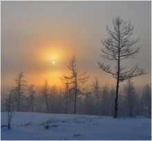 Я вижу солнце! / Таймыр.Февраль.Зима.Солнце.Туман.Фотограф ( за кадром ) t-40*