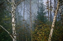 Этюд леса в туманное утро / Велико желание передать эмоции