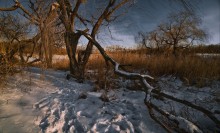 Февраль Донецкий / снято 22 февраля 2011г-проба нового объектива-фикса SAMYANG MF 14 mm F/2.8