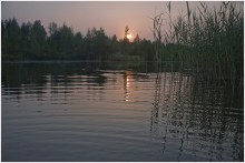 вечер на озере / ностальгия по лету.
