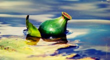 Кубышка / http://fotki.yandex.ru/users/nastikter/view/249744?page=0