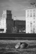  / 'сон'