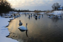 на закате / последние морозные дни февраля.