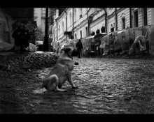  / Дождь на Андреевском спуске.