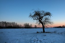 детские страхи / вот как-то так)