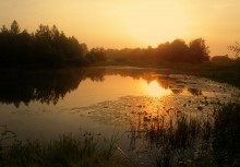 Летний вечер / Лето, июль, вечер