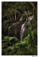 Kalihiwai Falls / Kalihiwai Falls, Kawai, Hawaii