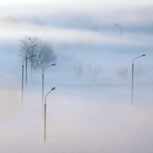 Застолбились в тумане / Утренняя прогулка столбов в Коломенском