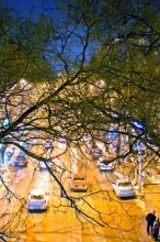 Ветки-руки / Анкара. Вечер. Мост. Улица