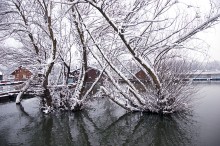 Зимой / Зимски пејсаж на реци Сави.
Зимний пейзаж на реке Сава.