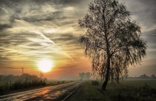 Дорога домой / Осень.закат, дорога