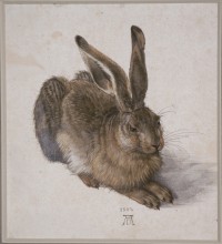 Rabbit / Rabbit by A. Direr.