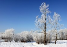 В заснеженном парке / Иркутск