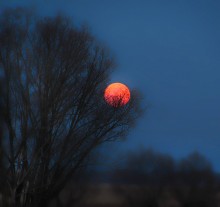 Большая луна / Сегодня, 19 марта