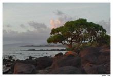 Early morning in Kapaa / Kapaa, Kauai, Hawaii
