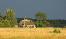 На хутор надвигается гроза / Недалеко от Припяти. Волынь.