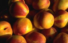 Персики / Оранжевые персики