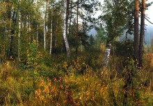 Осенняя палитра / Смешивала осень краски на палитре...