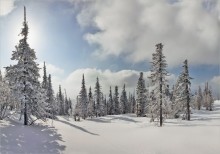  / Зимние виды