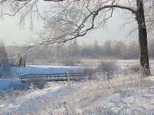 Припорошило / Вологодская область, Сокольский район, село Архангельское