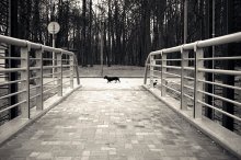 . / / Т - образный перекресток..