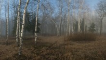 Апрельская С Туманом / пейзаж