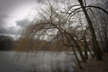 Холодная весна / Один из апрельских дней на Комсомольском озере