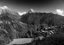 терассы / непал рисовые терассы
