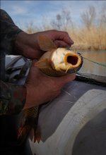 HELP !!! / Отпусти меня старче ...