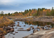 Тихо в Карельском лесу / Карелия