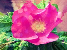 &nbsp; / ////////////