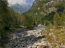 В лесной глуши... / Швейцария