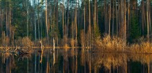 Вечернее зеркало половодья / Разлив еще продолжается....