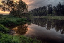 У берега реки / река Москва верховье