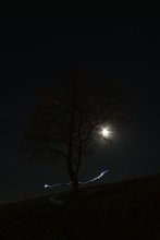 в свете луны... / ночное фото